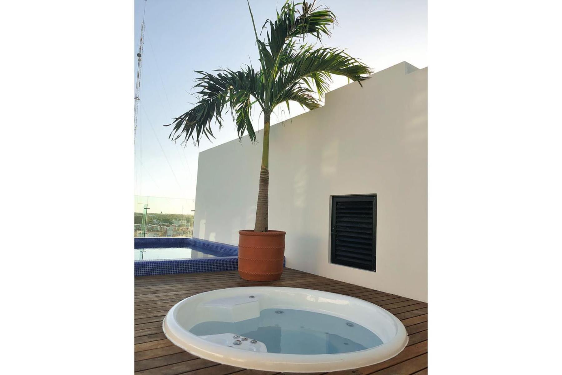 Lovely Icono Playa By Stella Rentals Playa del Carmen Exteriör bild