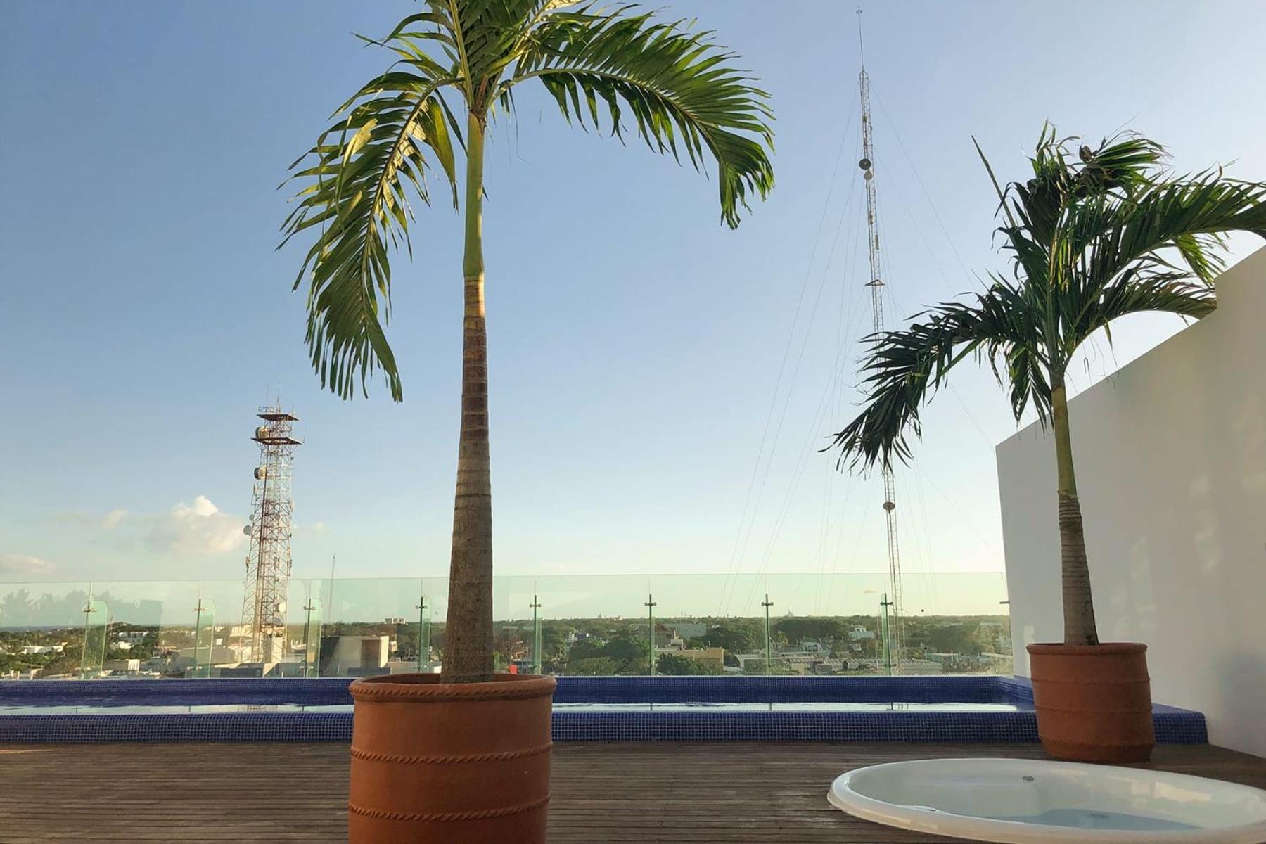 Lovely Icono Playa By Stella Rentals Playa del Carmen Exteriör bild